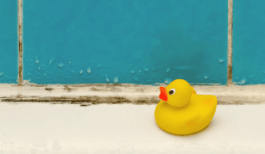 rubber ducky next to bathroom mold